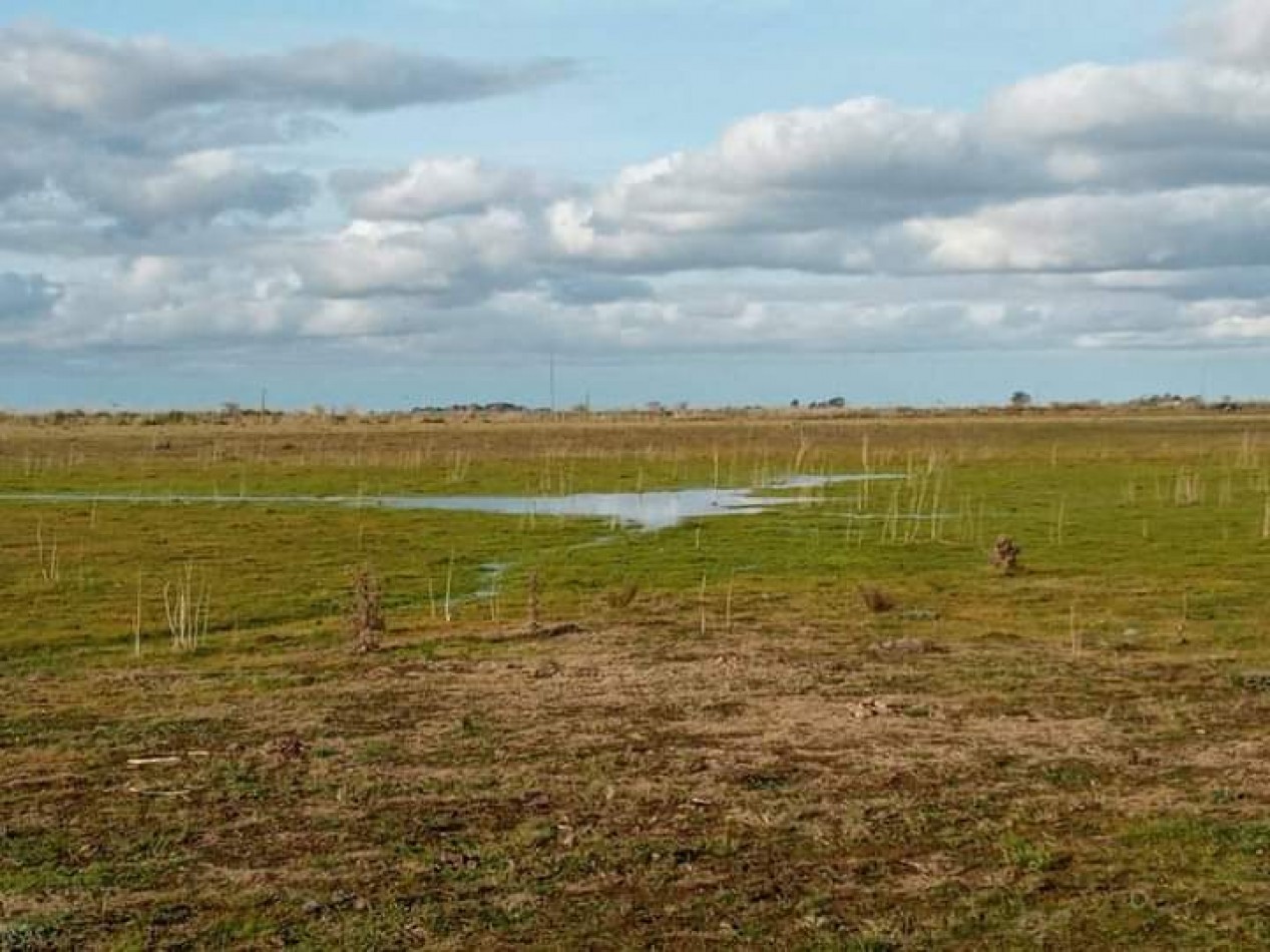 EN VENTA. CAMPO GANADERO. PARTIDO DE MAIPU