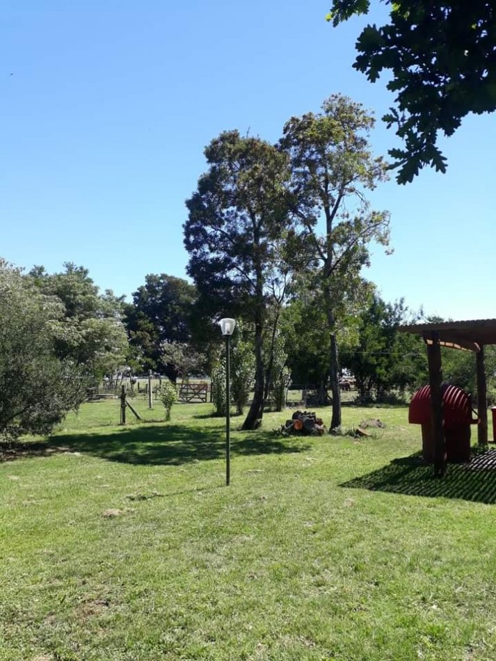 EN VENTA. CAMPO GANADERO. PARTIDO DE MAIPU