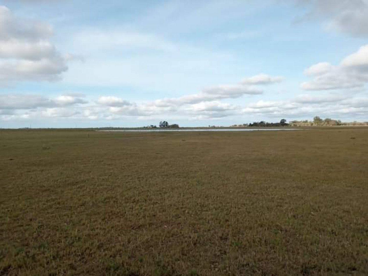 EN VENTA. CAMPO GANADERO. PARTIDO DE MAIPU