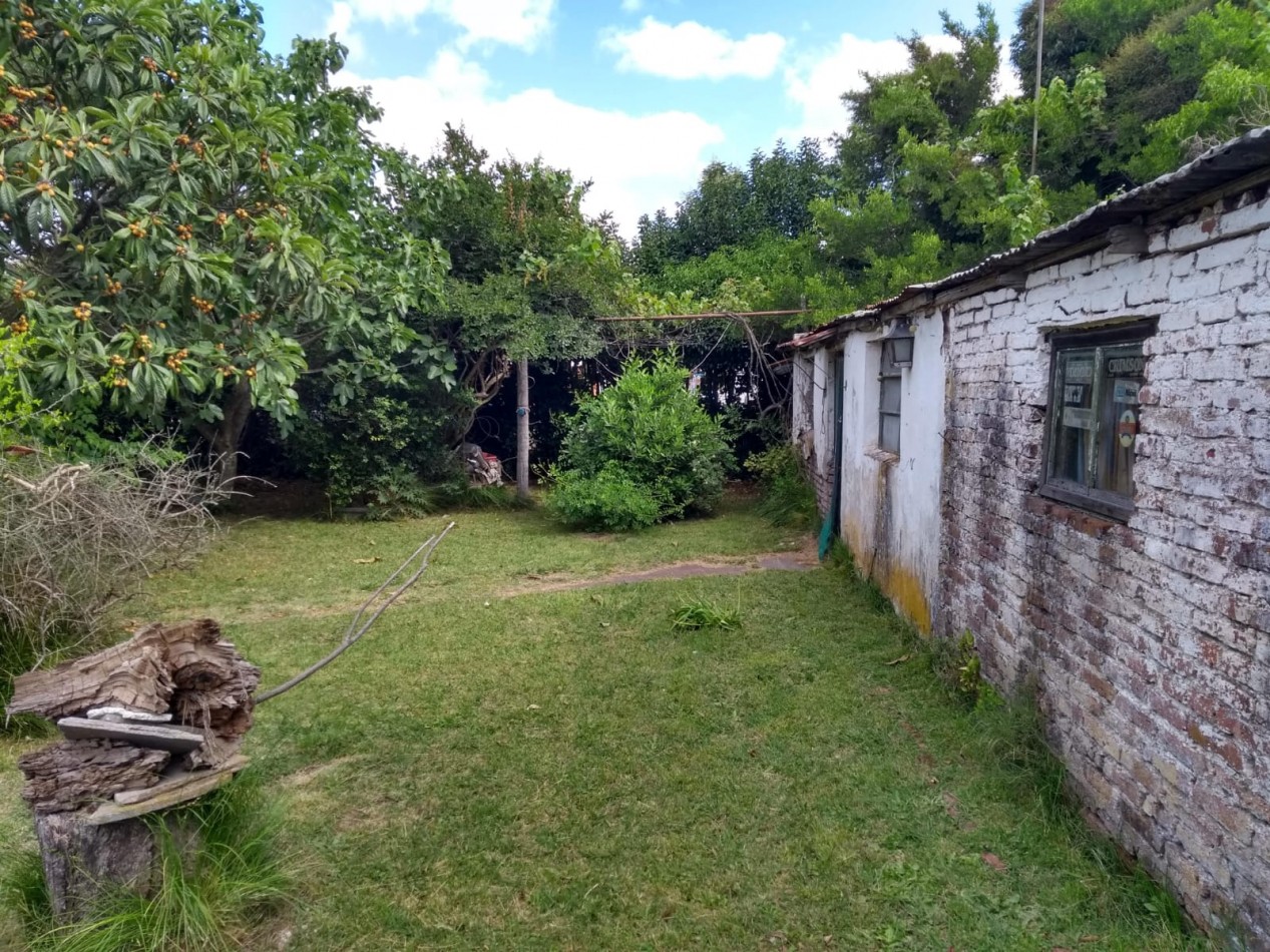 LOTE CON CASILLA A RECICLAR EN CORONEL VIDAL