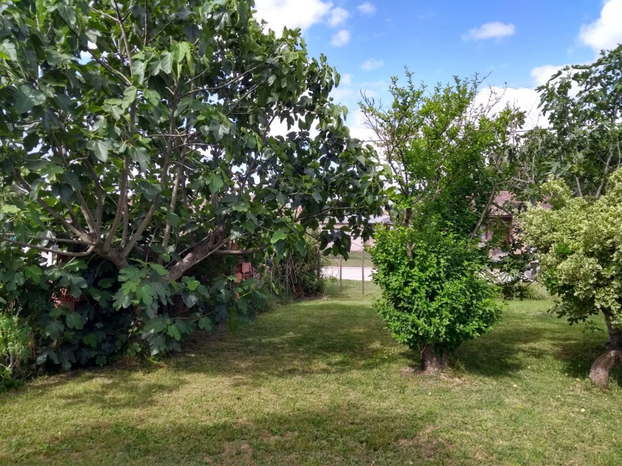 LOTE CON CASILLA A RECICLAR EN CORONEL VIDAL