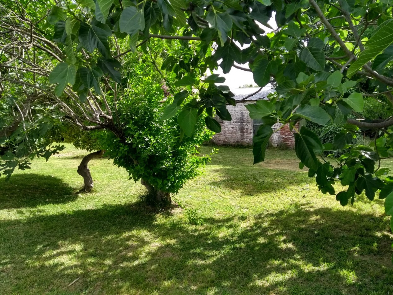 LOTE CON CASILLA A RECICLAR EN CORONEL VIDAL