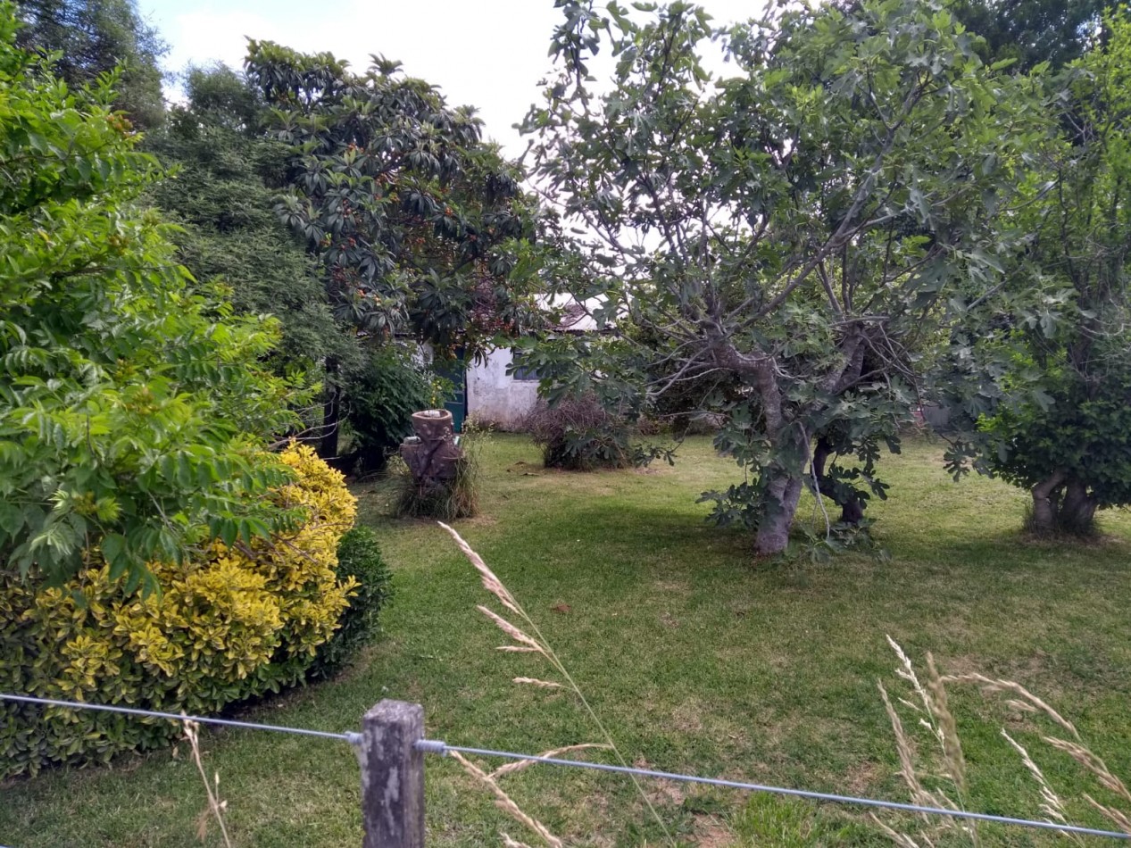 LOTE CON CASILLA A RECICLAR EN CORONEL VIDAL