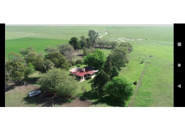 EN VENTA. CAMPO GANADERO. PARTIDO DE MAIPU